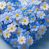 Прогимназия «Ручеёк» г.Хасавюрт