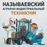 Называевский аграрно-индустриальный техникум