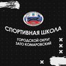 Спортивная школа ГО ЗАТО Комаровский