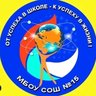 МБОУ СОШ №15 города Кузнецка