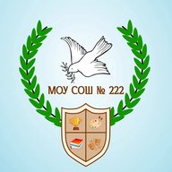 МОУ «СОШ №222» г.Заречный
