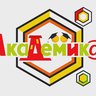 Академика
