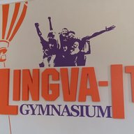 "Первая гимназия: Lingva-IT" (г. Пермь)