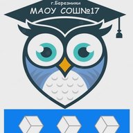 МАОУ СОШ №17 г. Березники Пермский край