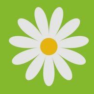 Канал МБДОУ Д/С № 17 "Ромашка"