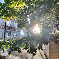 МБОУ «Базовая Павловская ООШ»