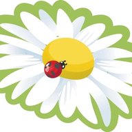 МБДОУ 35 Ромашка