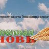 СТЕПНАЯ НОВЬ