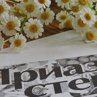 Приазовская степь