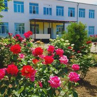 МБОУ Богородицкая СОШ № 20