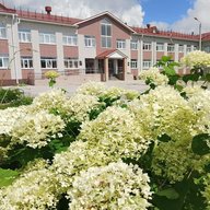 МБОУ "Чапаевская СОШ"