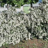 МБУ "Школа № 18" г. Тольятти