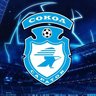 СШОР "Сокол"
