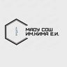 МАОУ СОШ им. Кима Е.И. пгт. Шахтёрск УМО СО