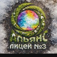 БМАОУ лицей N3