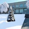 МАОУ СОШ №8 мо Верхний Тагил