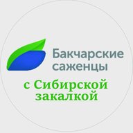 Бакчарские саженцы | АО "Бакчарское" | Жимолость