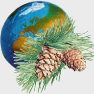 Дом детства и юношества "КЕДР" г. Томска