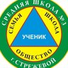 Муниципальное общеобразовательное учреждение "Средняя школа N3 городского округа Стрежевой имени Героя Российской Федерации Н.И. Данильченко"