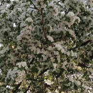 МКОУ Пудинская СОШ