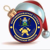Противопожарная служба ТО