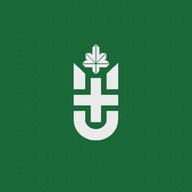 ЮУГМУ Минздрава России