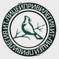 Официальный канал - МАОУ "ИТ-лицей Привилегия г. Челябинска"