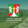 Газимуро-Заводский муниципальный округ