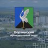 Администрация Борзинского муниципального округа Забайкальского края