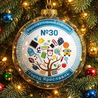 Образовательный комплекс № 30 г. Ярославль
