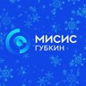 ГФ НИТУ МИСИС