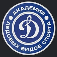 Академия «Динамо СПб»