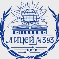 Лицей 393