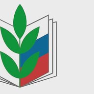 ГБОУ Средняя Школа № 491 Красногвардейского района Санкт-Петербурга
