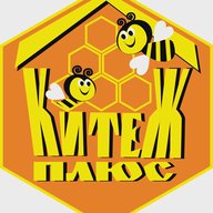 ГБУ ДО "Молодежный творческий Форум Китеж плюс"