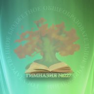 Гимназия №227