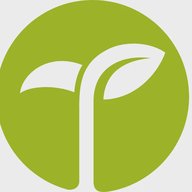 Современная Аюрведа I ТРАДО