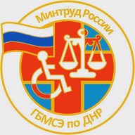 МСЭ в ДНР