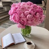 Искусство жить 💕