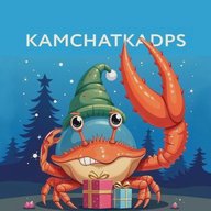 ДПС Камчатка