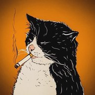 шерстяные проказники