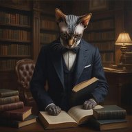 Кот Костян. RU