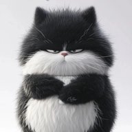 Котаны 😻