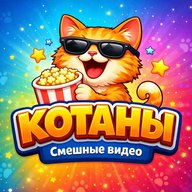 Котаны | Смешные коты