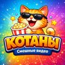 Котаны | Смешные коты