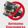 Автохамы Красноярска
