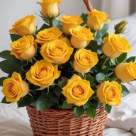 Красивые видео для души