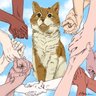 Кота Кузю не вернуть, но их накажем...