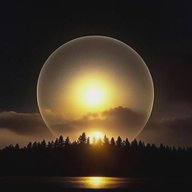 Леся из Полесья