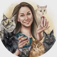 ЛАНА, САНЯ и 6 котов со Львом